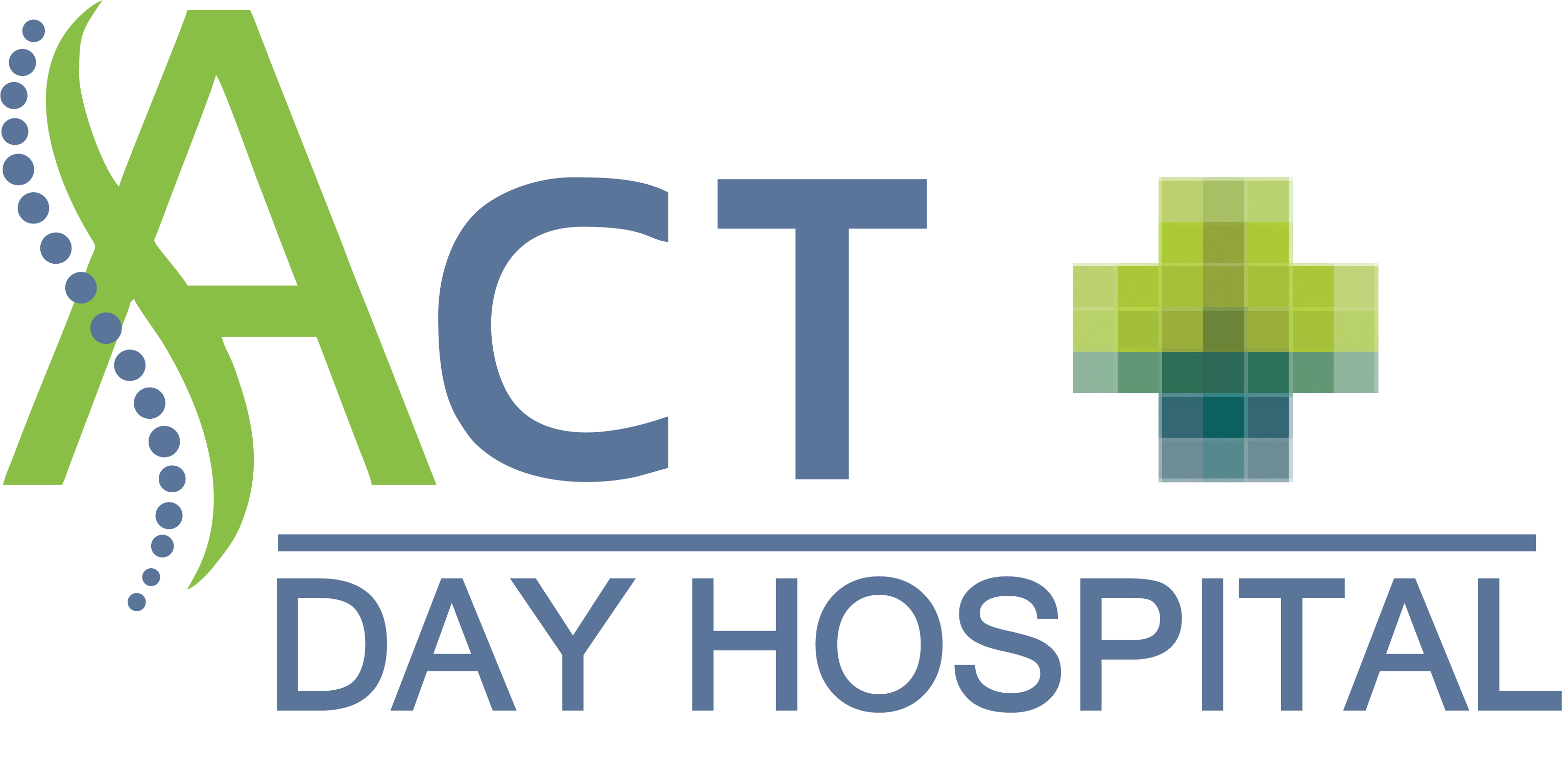 Day Hospital Logo