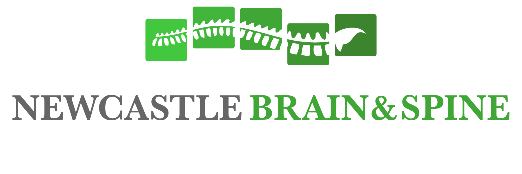 Newcastle Brain & Spine logo